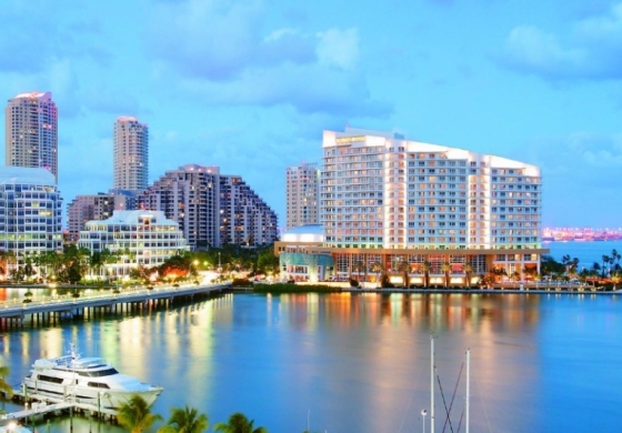 Miami, una ciudad dedicada al placer.